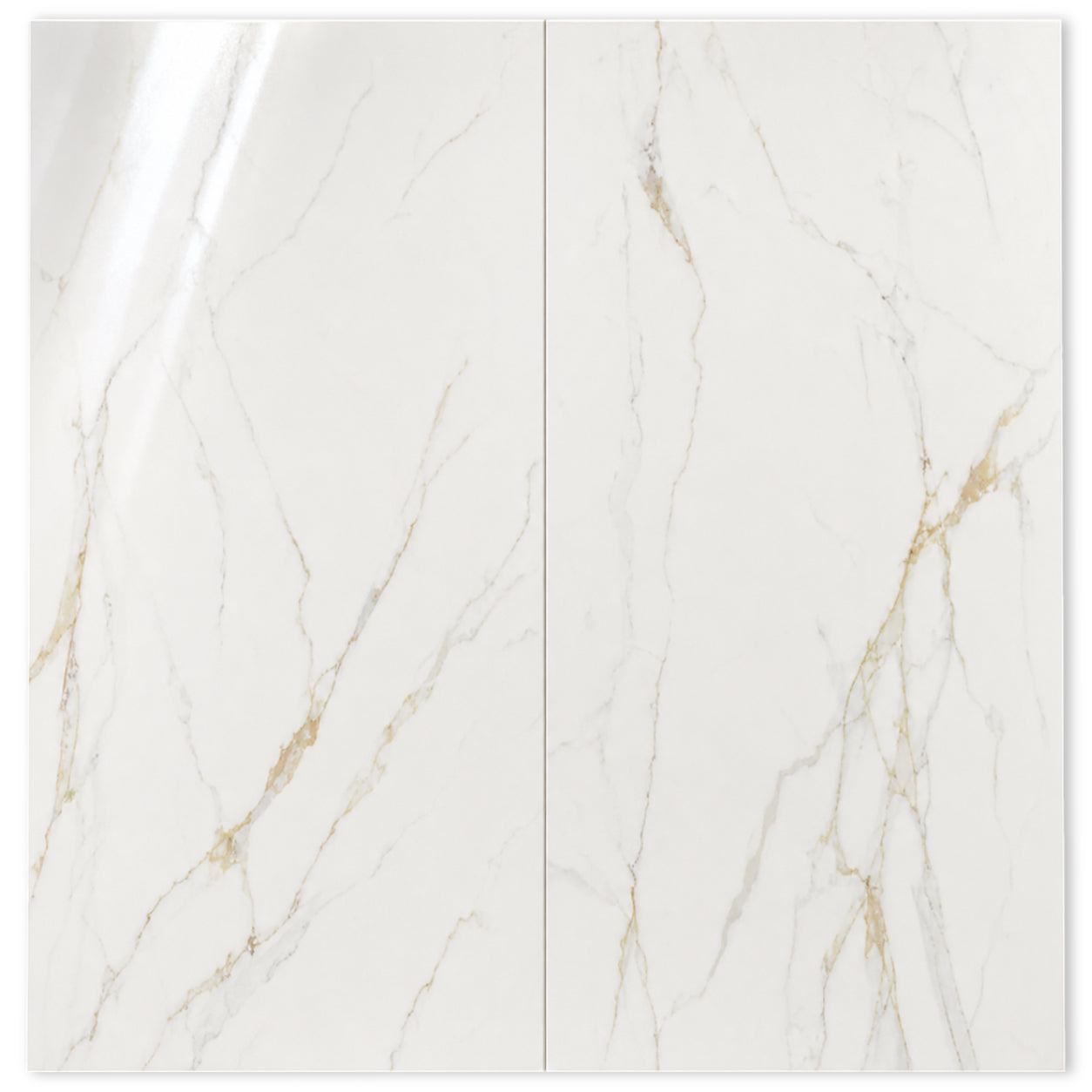 Dream | 24"x48" Calacatta Gold Porcelain Marble Look Floor & Wall Tile