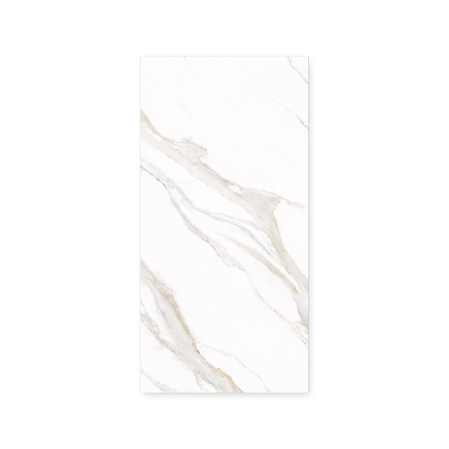 Dream | 24"x48" Borghini Gold Porcelain Marble Look Floor & Wall Tile