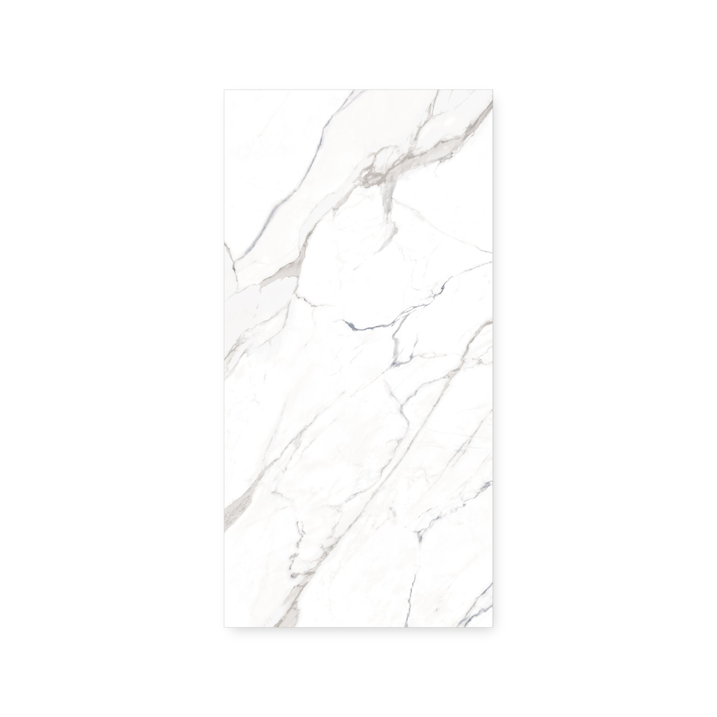 Calacatta Blue | 24"x48"  Porcelain Marble Look Floor & Wall Tile