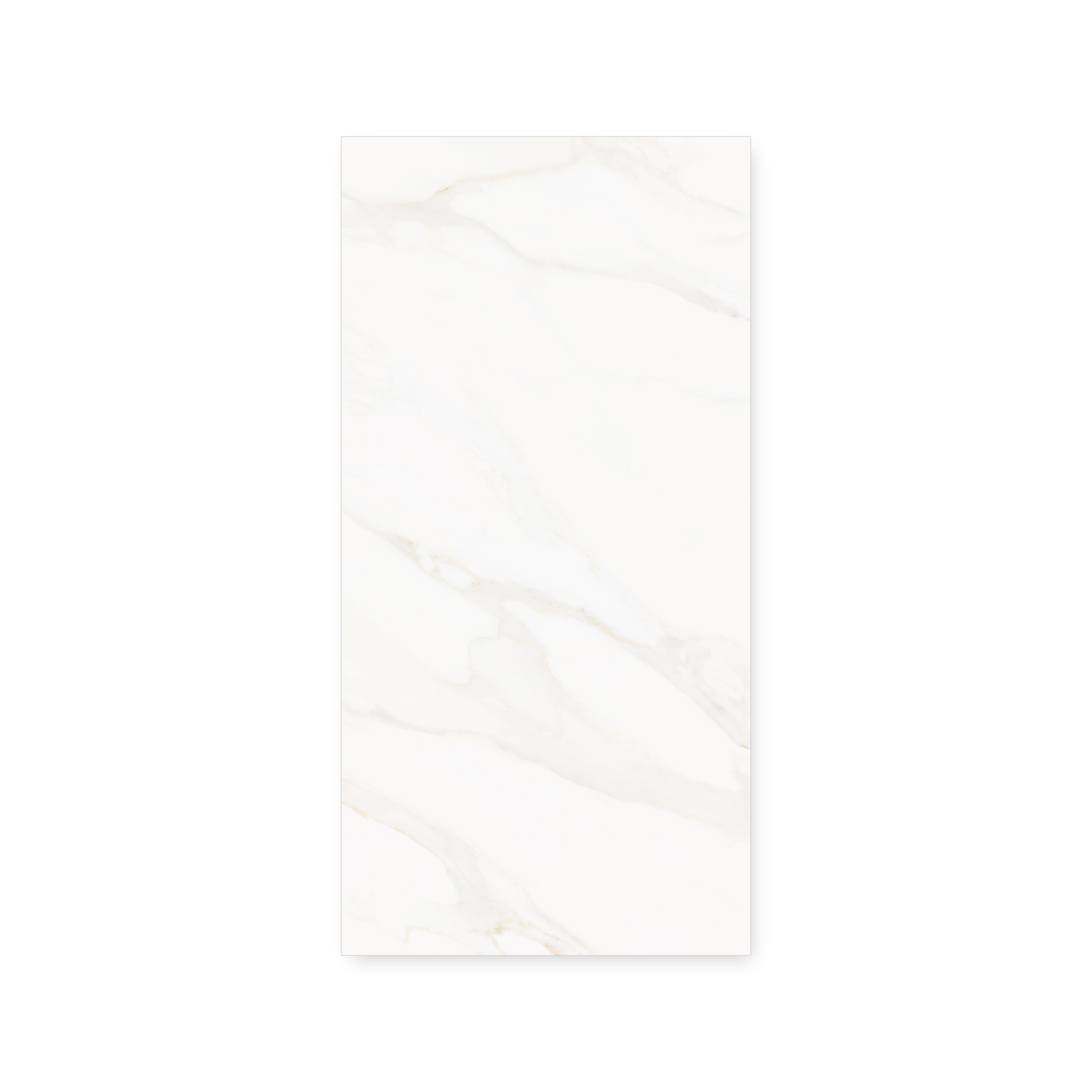 Precious Marble | 24"x48" Porcelain Marble Look Floor & Wall Tile