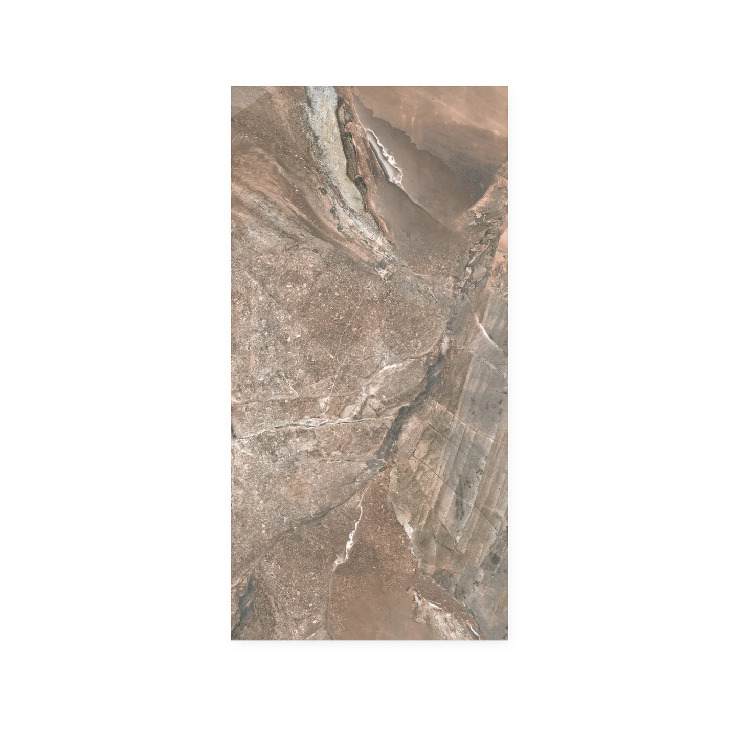 Fossilique | 24"x48" Porcelain Marble Look Floor & Wall Tile