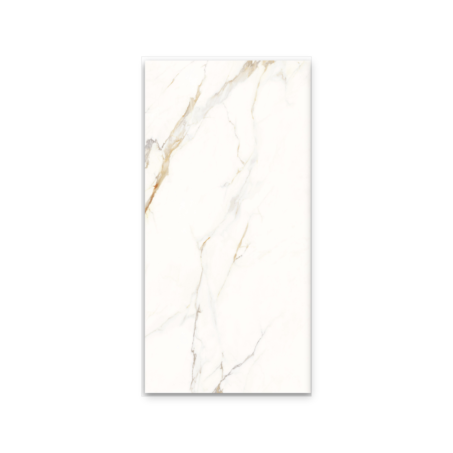 Dream | 24"x48" Calacatta Gold Porcelain Marble Look Floor & Wall Tile