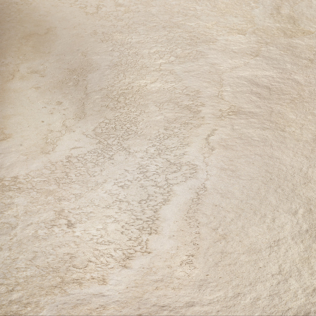 Roma | 24"x48" Stone Look Floor & Wall Tile