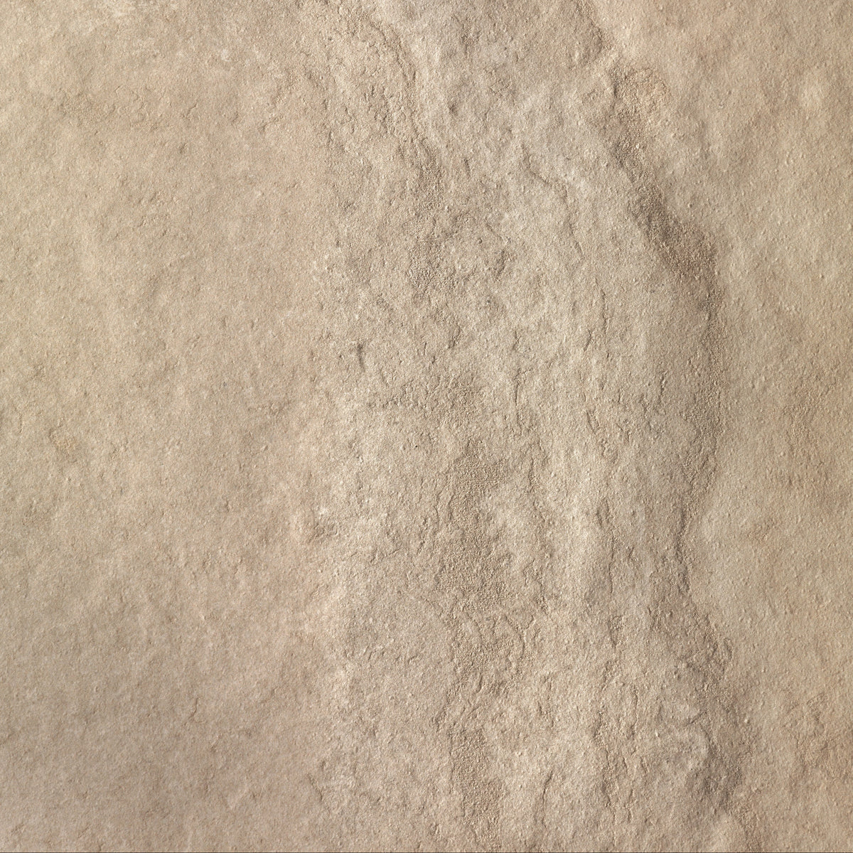 Roma | 24"x48" Stone Look Floor & Wall Tile