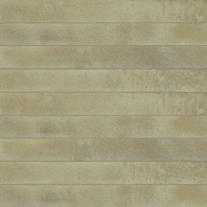 Elentis | 2"x20" Porcelain Wall Tile