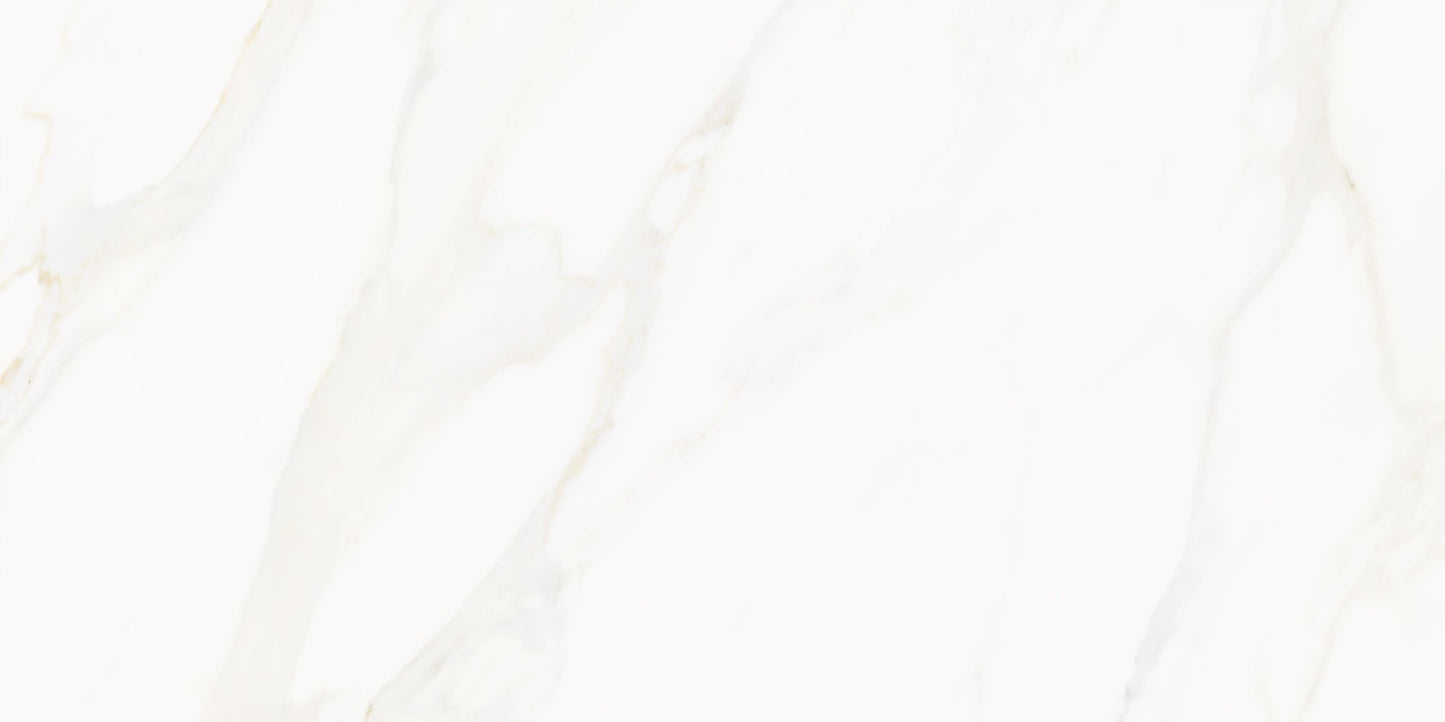 Precious Marble | 12"x24" Porcelain Marble Look Floor & Wall Tile