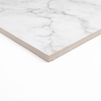 Palazzo | 12" x 12" Porcelain Marble Look Floor & Wall Tile