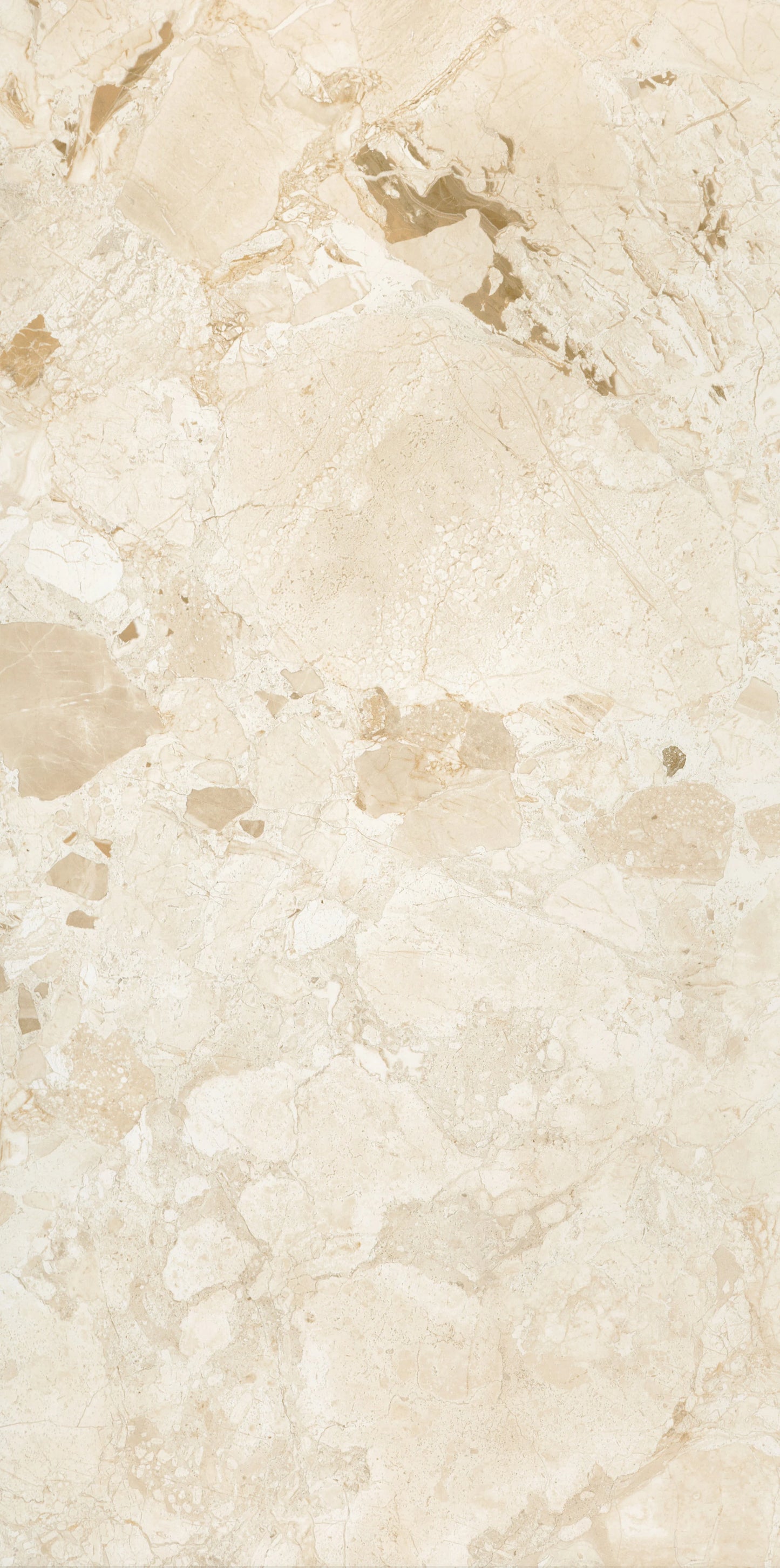 Breccia | 24"x48" Porcelain Floor and Wall Tile