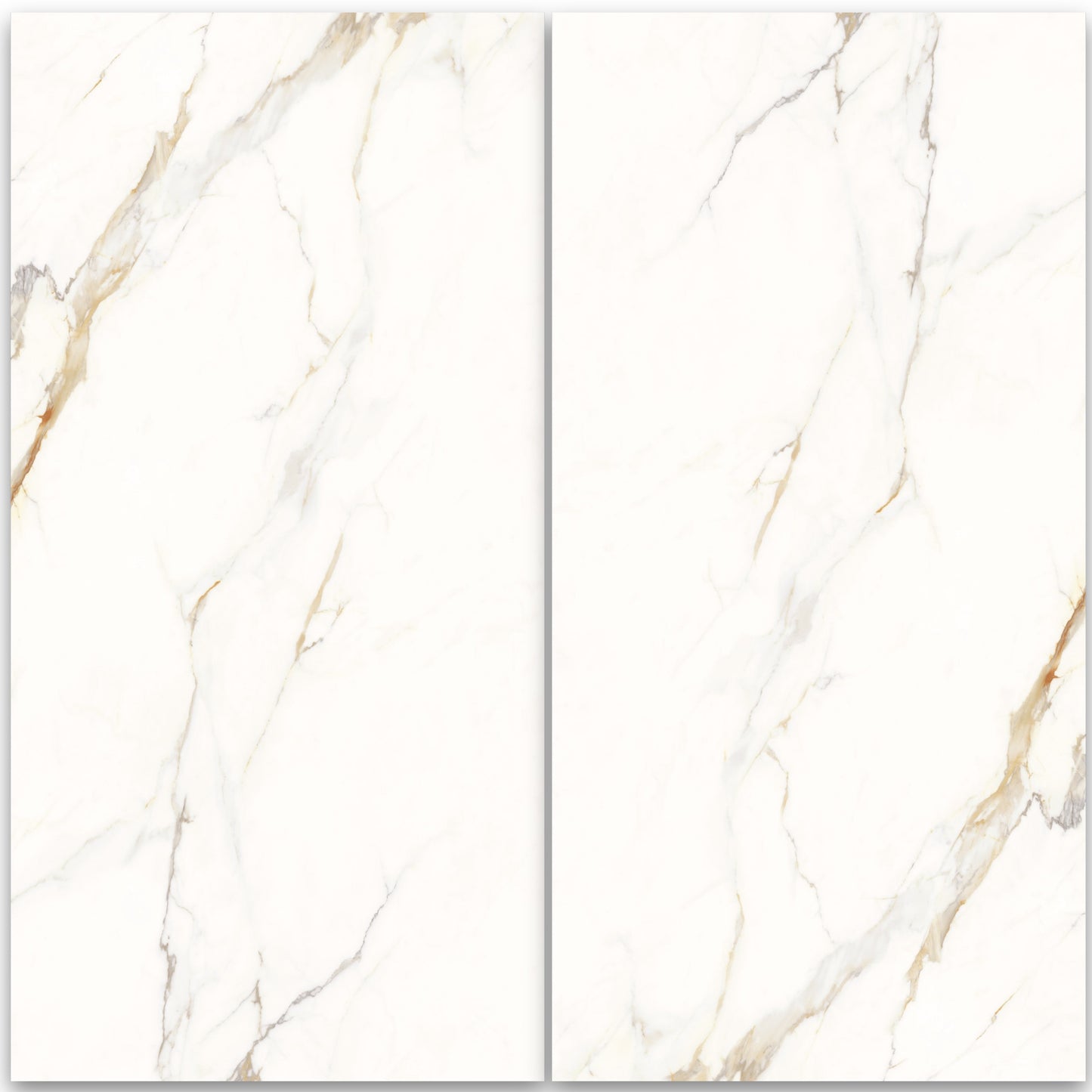 Dream | 24"x48" Calacatta Gold Porcelain Marble Look Floor & Wall Tile