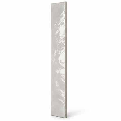 Elentis | 2"x20" Porcelain Wall Tile