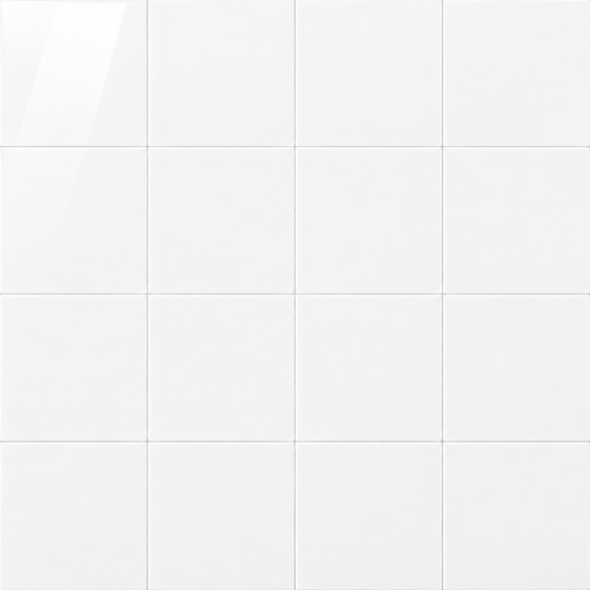 Black & White | 12"x12" Porcelain Floor & Wall Tile